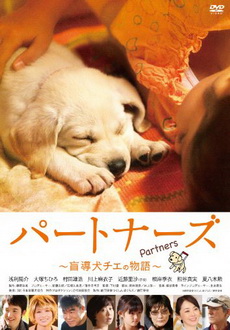 "Partners" (2010) DVDRip.XviD-CoWRY