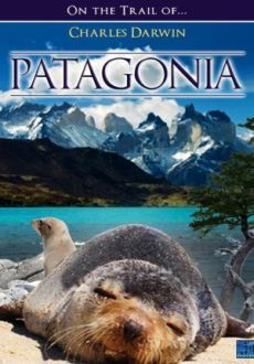 "Patagonia 3D - In The Footsteps Of Charles Darwin" (2012) BDRip.x264-PussyFoot