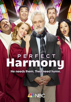 "Perfect Harmony" [S01E01] HDTV.x264-SVA