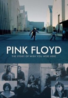 "Pink Floyd: The Story (...) Were Here" (2012) DOCU.DVDRip.XviD-BAND1D0S