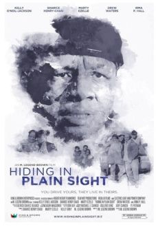 "Hiding in a Plain Sight" (2012) WEBRip.x264-iNTENSO