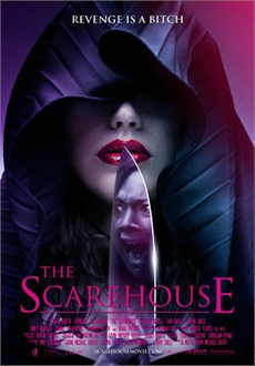 "The Scarehouse" (2014) 480p.HDRip.x264.AC3-FooKaS