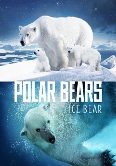 "Polar Bears: Ice Bear" (2013) BDRip.x264-VoMiT