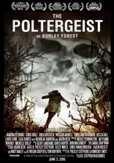 "The Poltergeist of Borley Forest" (2013) BDRip.x264-NOSCREENS