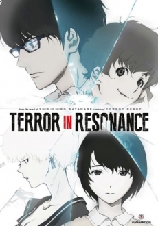 "Terror in Resonance" [S01] BDRip.x264-ANiHLS