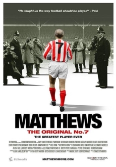 "Matthews" (2017) DVDRip.x264-RedBlade