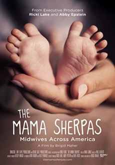 "The Mama Sherpas" (2015) WEBRip.x264-RARBG