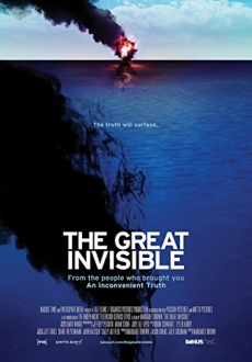 "The Great Invisible" (2014) WEBRip.x264-RARBG