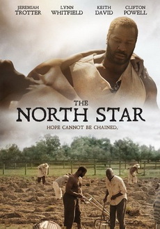 "The North Star" (2016) DVDRip.x264-REGRET