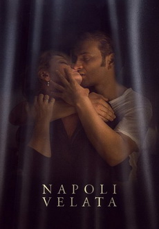 "Naples in Veils" (2017) BDRip.x264-BiPOLAR