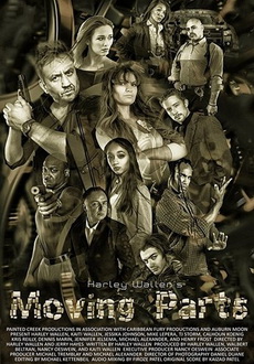 "Moving Parts" (2017) WEB-DL.x264-FGT