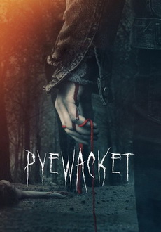 "Pyewacket" (2017) LiMiTED.DVDRip.x264-CADAVER