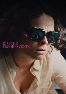 "Dim the Fluorescents" (2017) WEB-DL.x264-FGT