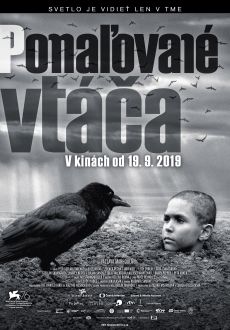 "Nabarvené ptáče" (2019) 1080p.WEB-DL.DDP5.1.H.264-PSiG