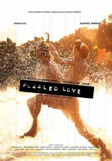 "Puzzled Love" (2011) SUBBED.DVDRip.x264-BiPOLAR