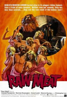 "Raw Meat" (1972) REMASTERED.BDRip.x264-VoMiT  