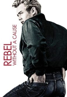 "Rebel Without a Cause" (1955) BRRip.XviD-RARBG