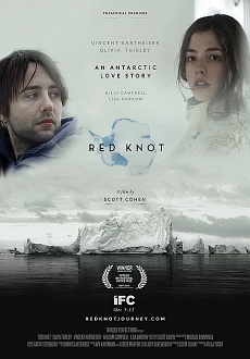 "Red Knot" (2014) WEB-DL.x264-RARBG