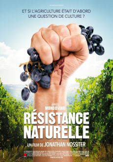 "Natural Resistance" (2014) DVDRip.x264-RedBlade