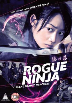 "Rogue Ninja" (2009) DVDRip.XviD-Petyobox