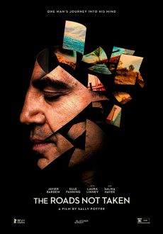 "Roads Not Taken" (2020) HDRip.XviD.AC3-EVO