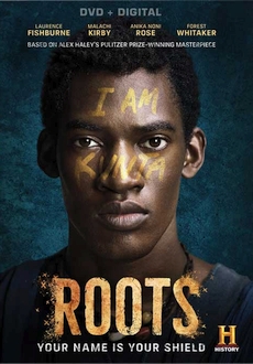 "Roots" [S01] BDRip.x264-DEMAND