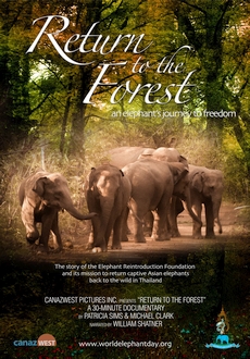 "Return to the Forest" (2012) DVDRip.x264-W4F
