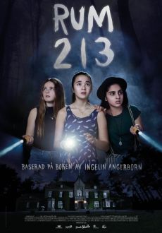 "Rum 213" (2017) SWEDiSH.BDRip.x264-iMSORNY  