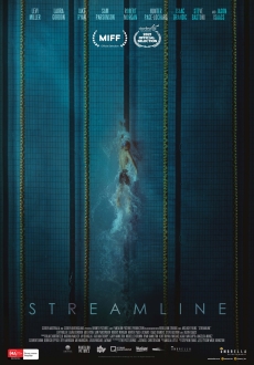 "Streamline" (2021) HDRip.XviD.AC3-EVO