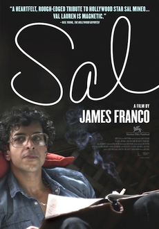 "Sal" (2011) LIMITED.DVDRip.x264-RedBlade