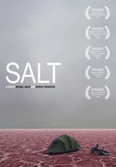 "Salt" (2009) BDRip.XviD-aAF
