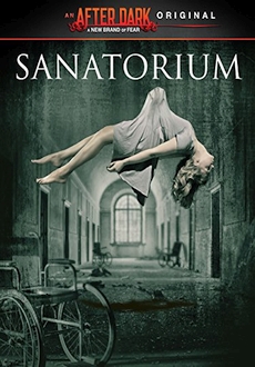 "Sanatorium" (2013) DVDRip.x264-ARiES