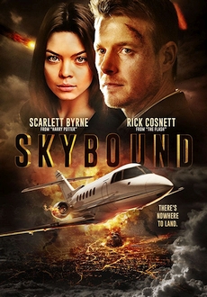 "Skybound" (2017) WEBRip.DD2.0.x264-RBB