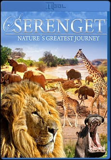 "Serengeti: Nature's Greatest Journey" (2015) BDRip.x264-VoMiT