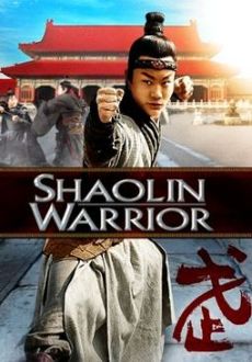 "Shaolin Warrior" (2013) DVDRip.x264.AC3-AVeNGeRZ