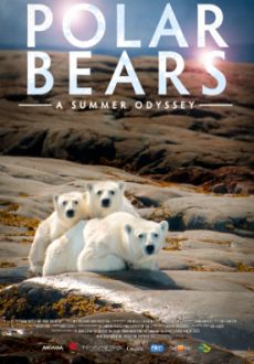 "Polar Bears: A Summer Odyssey" (2012) PL.480p.BDRip.XviD.AC3-inTGrity