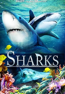 "Sharks: Kings of the Ocean" (2012) BDRip.x264-PussyFoot 