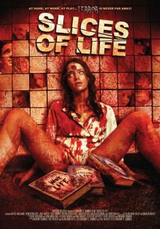 "Slices of Life" (2010) DVDRip.XviD-VoMiT