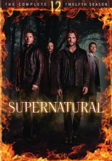 "Supernatural" [S12] BDRip.x264-DEMAND  