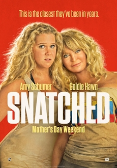 "Snatched" (2017) BDRip.x264-GECKOS