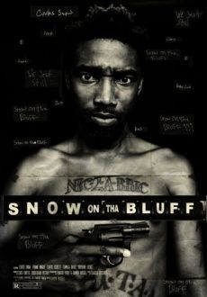 "Snow on Tha Bluff" (2011) DVDRip.XviD-DiSPOSABLE