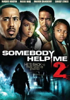 "Somebody Help Me 2" (2010) DvDRip.XviD.Feel-Free