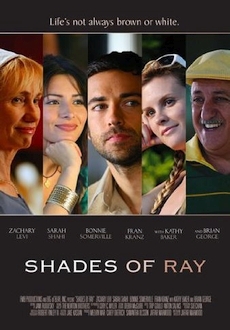 "Shades of Ray" (2008) WEBRip.x264-RARBG