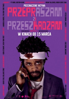 "Sorry to Bother You" (2018) PL.BDRiP.x264-PSiG