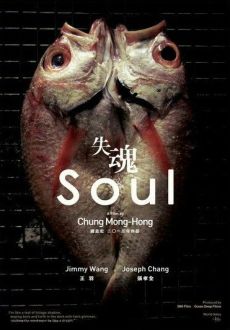 "Soul" (2013) 480p.BRRip.x264-ZrL