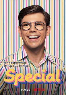 "Special" [S02] WEBRip.x264-ION10