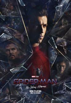 "Spider-Man: No Way Home" (2022) BDRip.x264-SPiDERHAM