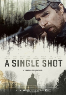"A Single Shot" (2013) PL.BDRip.x264-PSiG