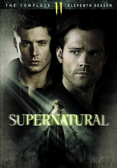 "Supernatural" [S11] BDRip.x264-MAYHEM