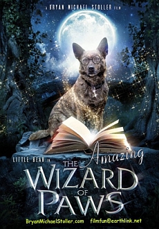 "The Amazing Wizard of Paws" (2015) DVDRiP.X264-TASTE